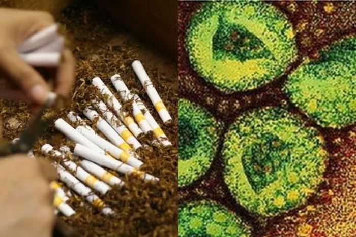 Benarkah Virus Covid 19, Bisa Menular Lewat Rokok? Benarkah Virus Covid 19, Bisa Menular Lewat Rokok?