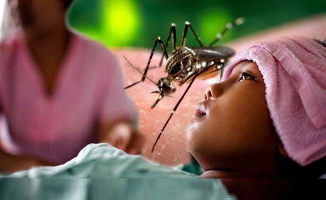 Direktur Jenderal Pencegahan dan Pengendalian Penyakit Kementerian Kesehatan, Achmad Yurianto, meminta masyarakat waspada demam berdarah dengue (DBD). Direktur Jenderal Pencegahan dan Pengendalian Penyakit Kementerian Kesehatan, Achmad Yurianto, meminta masyarakat waspada demam berdarah dengue (DBD).