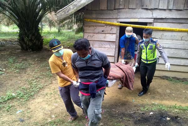 Seorang Pria Ditemukan Istri Meninggal Gantung Diri di Pondok Kebun Sawit Seorang Pria Ditemukan Istri Meninggal Gantung Diri di Pondok Kebun Sawit
