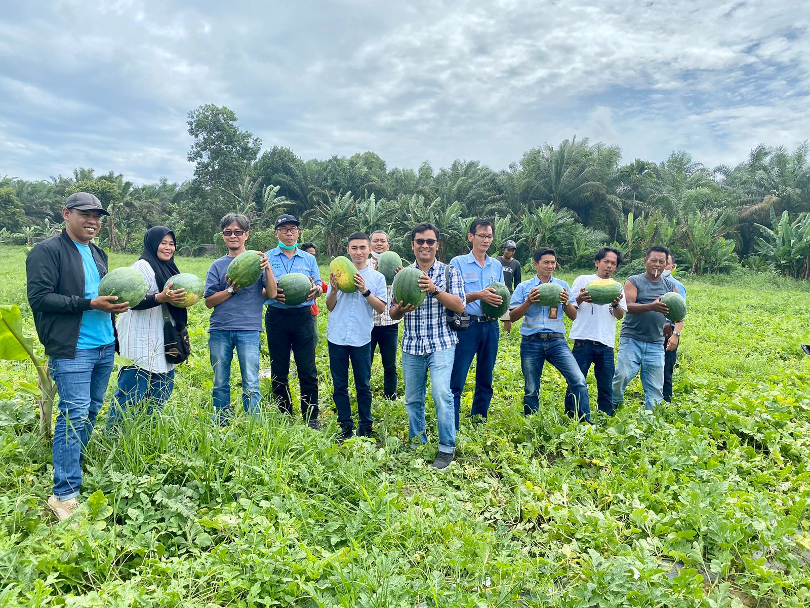 Semangka Hasil Perkebunan Petani Binaan PT LPPPI Sukses Memenuhi Kebutuhan Pasar Lokal Hingga Kota-Kota Besar di Indonesia 