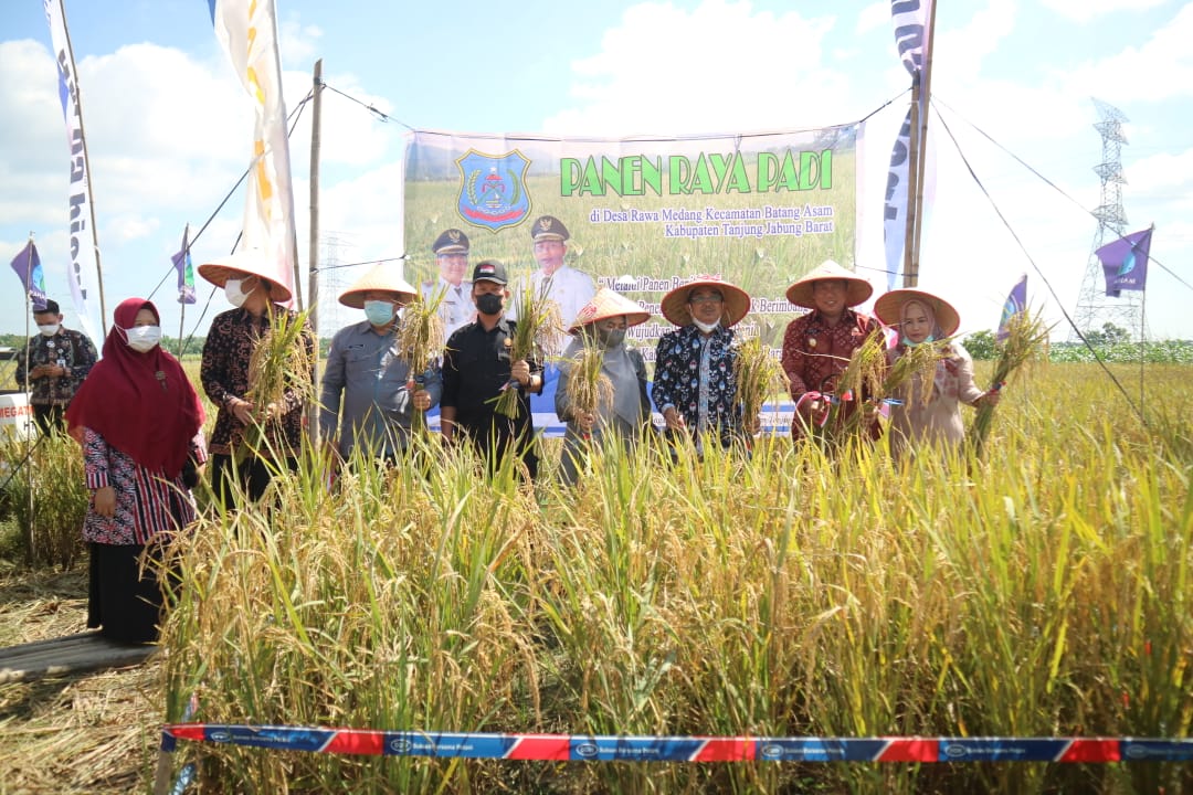 Peringati Hari Lingkungan Hidup Sedunia, Pemkab Tanjabbar Laksanakan Panen Raya dan Tabur Benih Ikan 