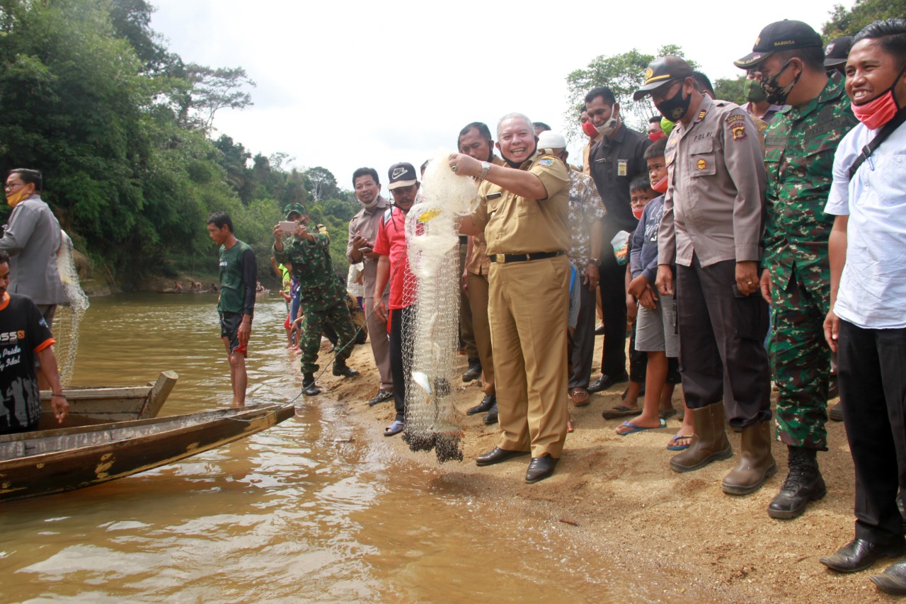 Panen Ikan Sungai Lubuk Larangan di Dusun Mudo, Safrial Harapkan Semua Desa Punya Lubuk Larangan