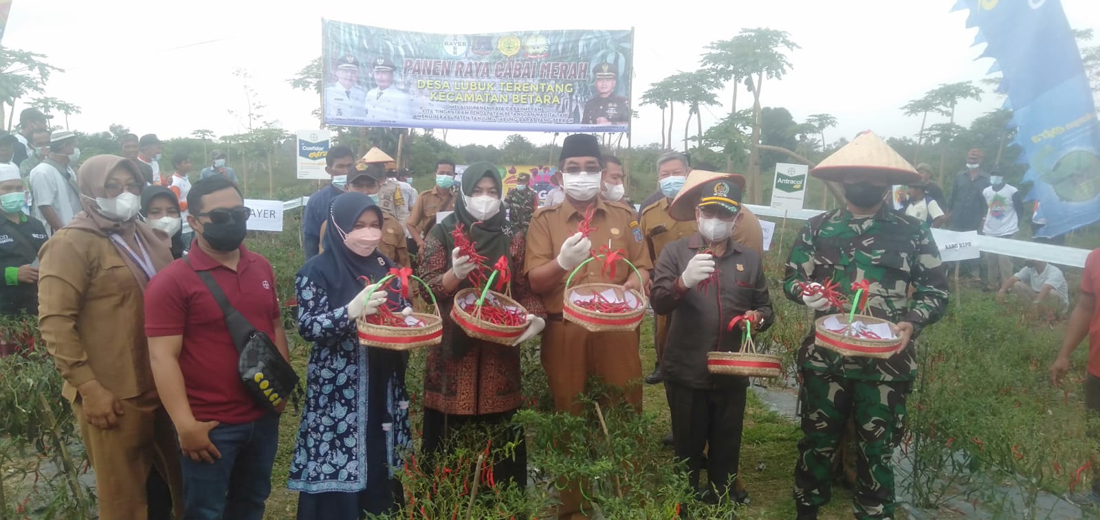 Dandim 0419/Tanjab Dampingi Bupati Tanjabbar Panen Raya Cabai Merah