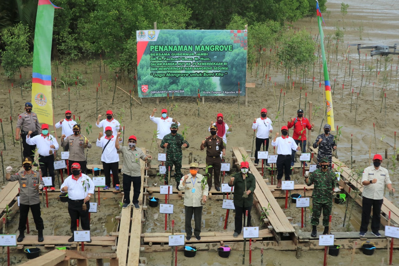 Hari Magrove Sedunia, Safrial-Fachrori Tanam Mangrove di Sekitaran Pelabuhan Roro